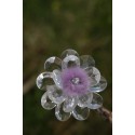 Kristal Şeffaf Mor Tüylü Çiçek Klima Kokusu